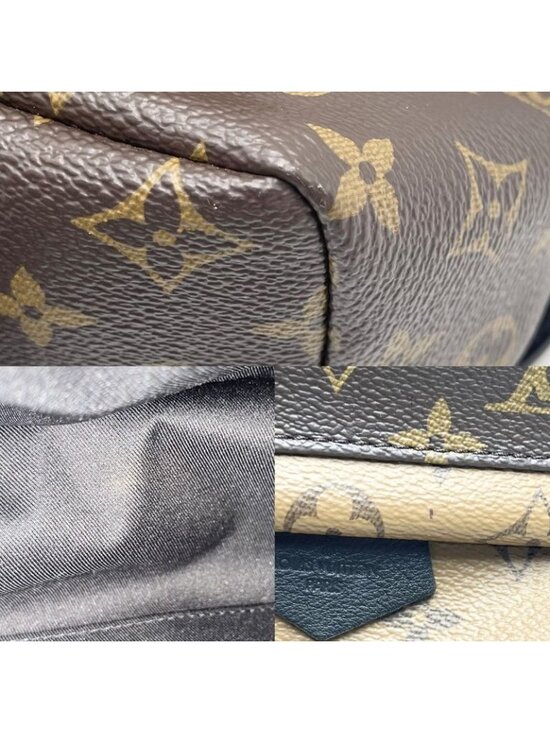 Louis Vuitton Backpack Monogram Palm Spring PM Brown main image 9
